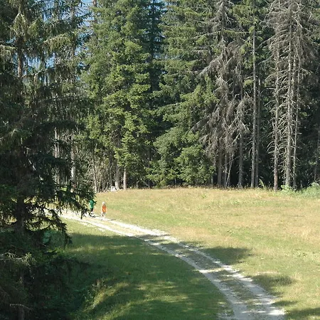 Saboia La Tania